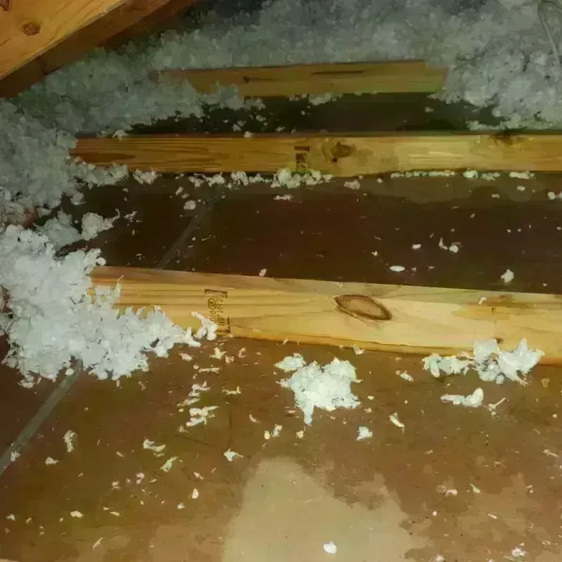 Attic Water Damage in Blount County, TN